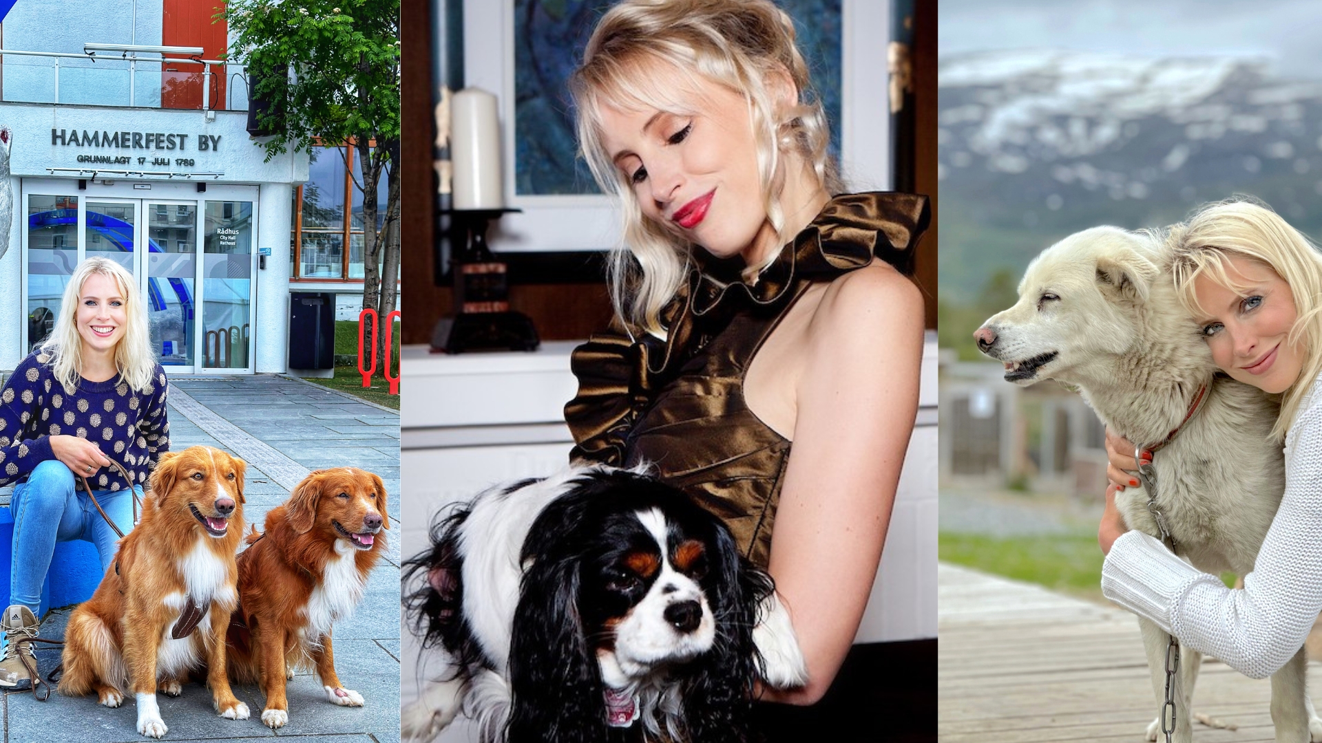 Vetevo Gutscheincode: ELISCHEBA